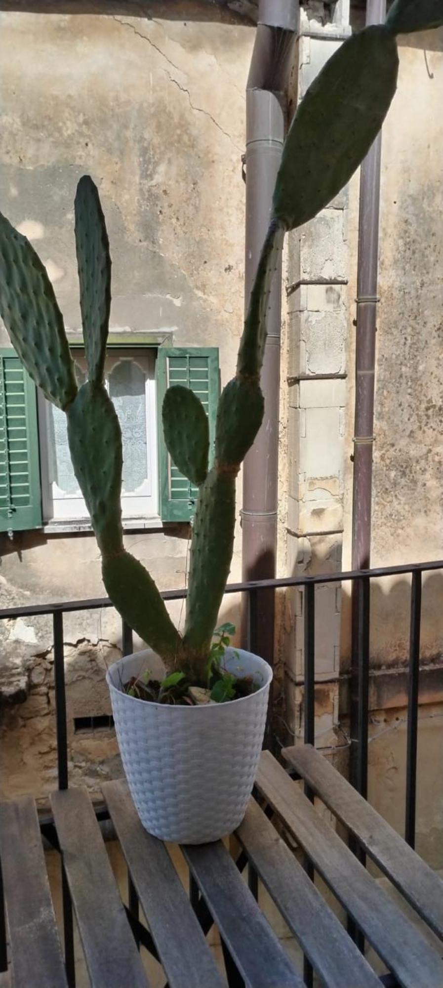 Residenza Donnafugata Bed and breakfast